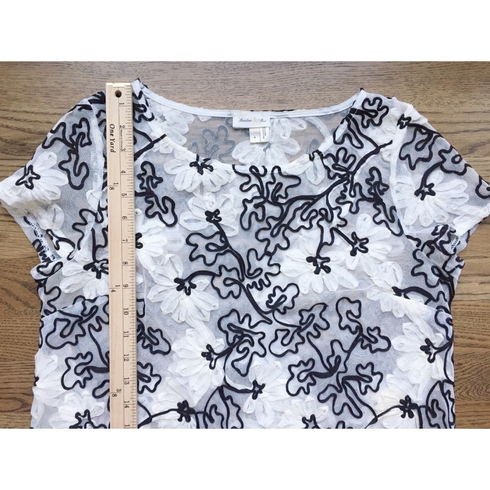 🌹Anthropology Meadow Rue sheer ribbon top🌹 - Picture 4 of 6